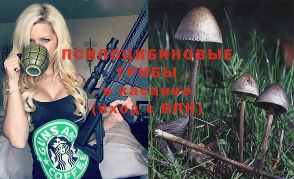 гашик Кукмор