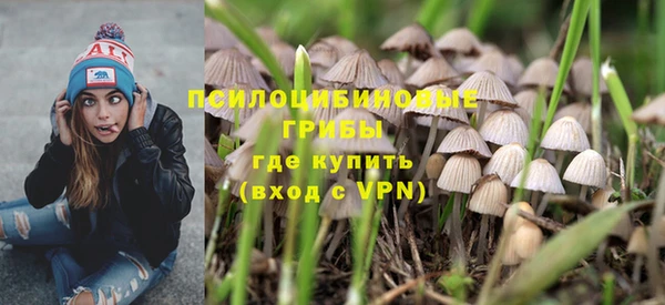 гашик Кукмор