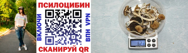 Псилоцибиновые грибы Psilocybine cubensis  Купить закладки  Барабинск 